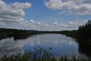 DSC_6167.JPG