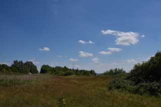 DSC_6251.JPG