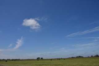 DSC_6294.JPG