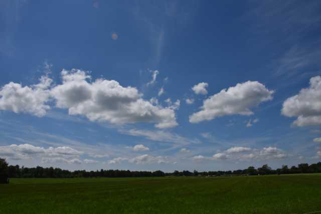 DSC_6160.JPG