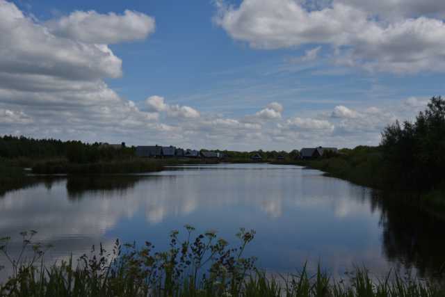 DSC_6167.JPG