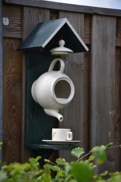 DSC_6171.JPG