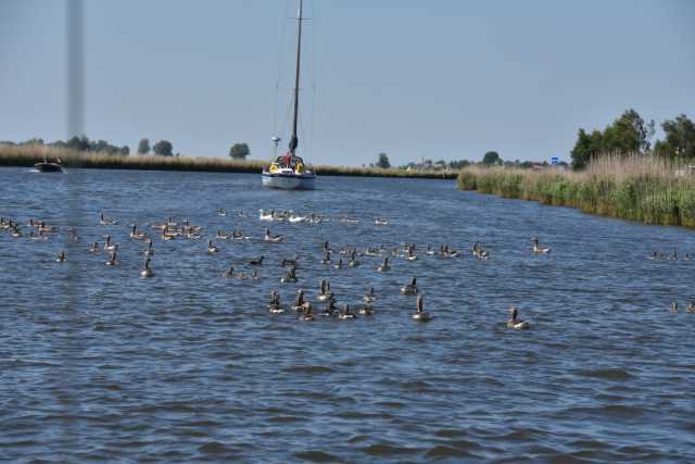 DSC_6236.JPG