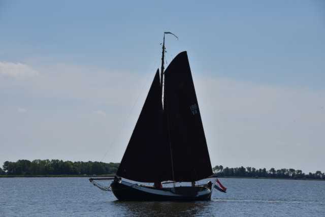 DSC_6247.JPG