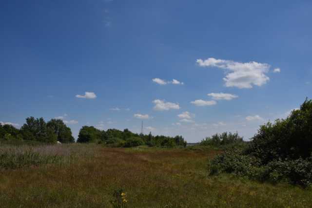 DSC_6251.JPG