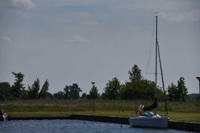 DSC_6256.JPG