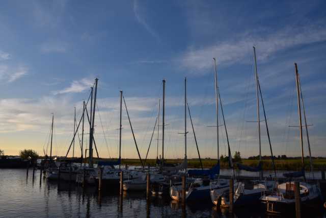 DSC_6270.JPG