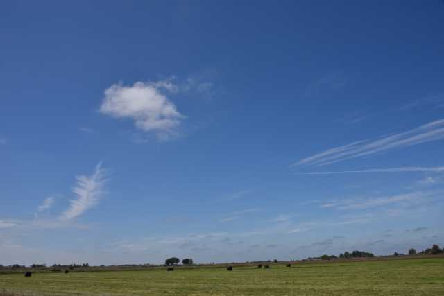 DSC_6294.JPG