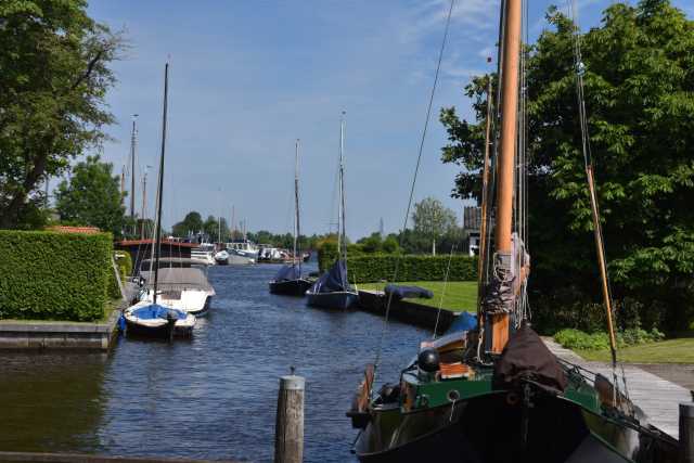 DSC_6301.JPG