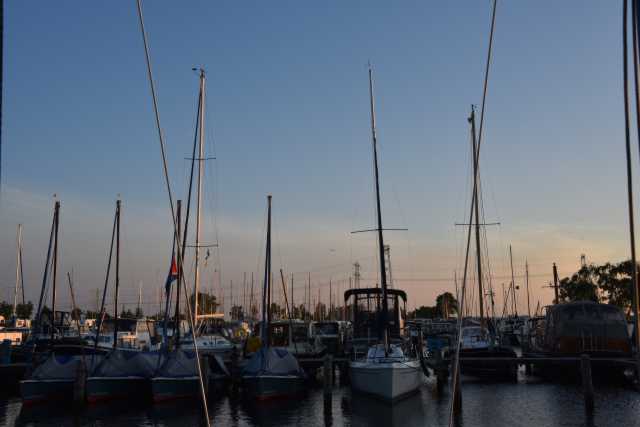 DSC_6317.JPG