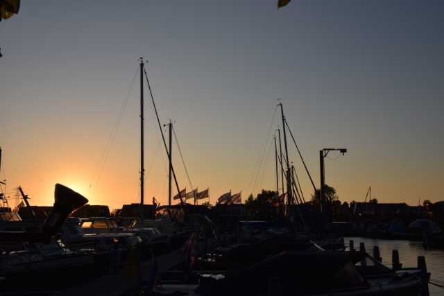 DSC_6318.JPG