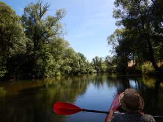 DSCN5307.JPG