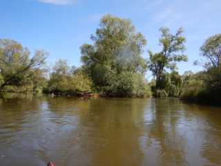 DSCN5310.JPG