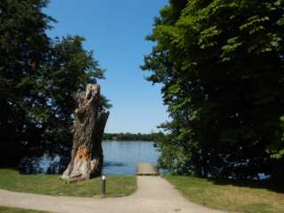 DSCN5364.JPG
