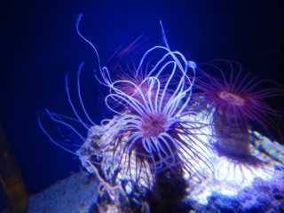 DSCN5386.JPG