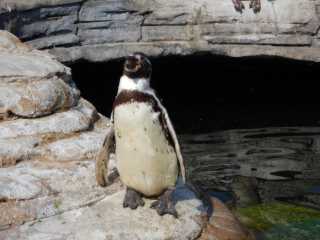 DSCN5403.JPG