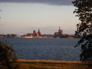 DSCN5481.JPG