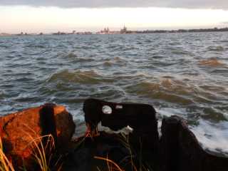 DSCN5485.JPG