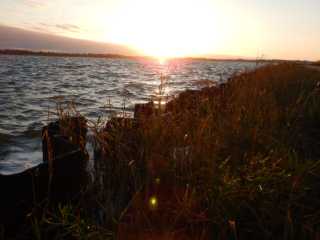 DSCN5486.JPG