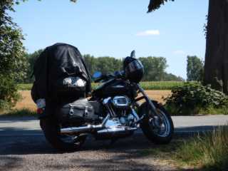 DSCN5513.JPG