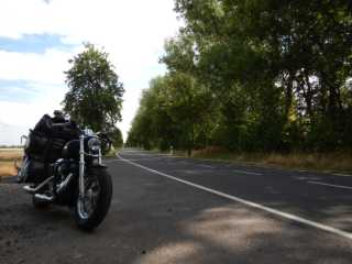DSCN5524.JPG