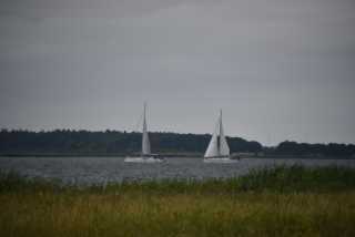 DSC_6409.JPG