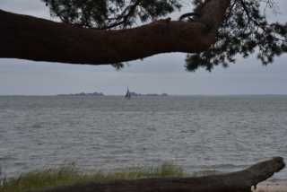 DSC_6410.JPG
