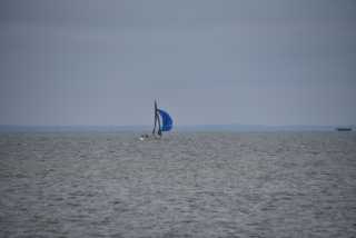 DSC_6415.JPG