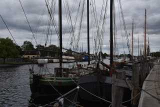 DSC_6486.JPG