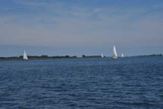 DSC_6530.JPG