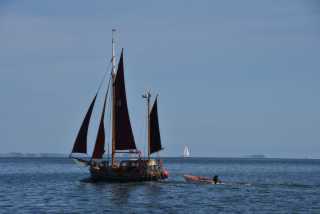 DSC_6546.JPG
