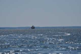 DSC_6581.JPG