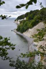 DSC_6701.JPG