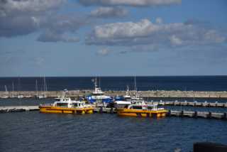 DSC_6782.JPG