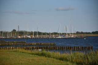 DSC_6809.JPG