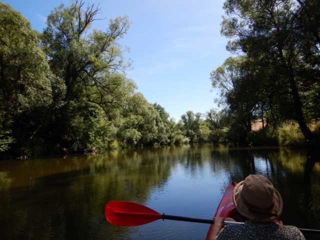 DSCN5307.JPG
