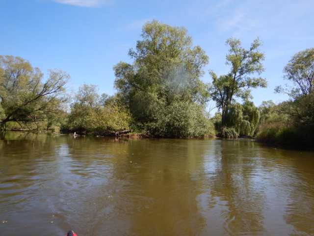 DSCN5310.JPG