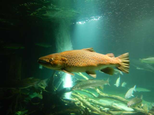 DSCN5377.JPG