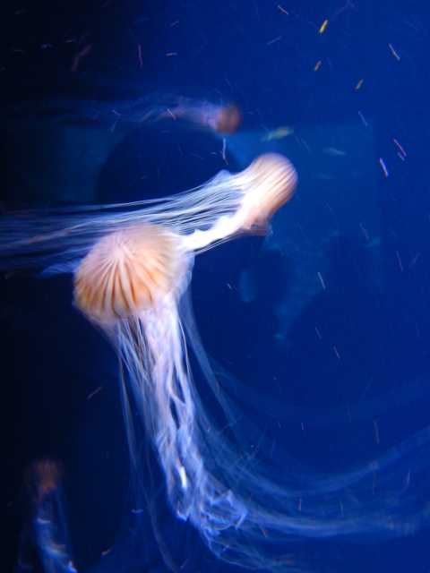 DSCN5394.JPG