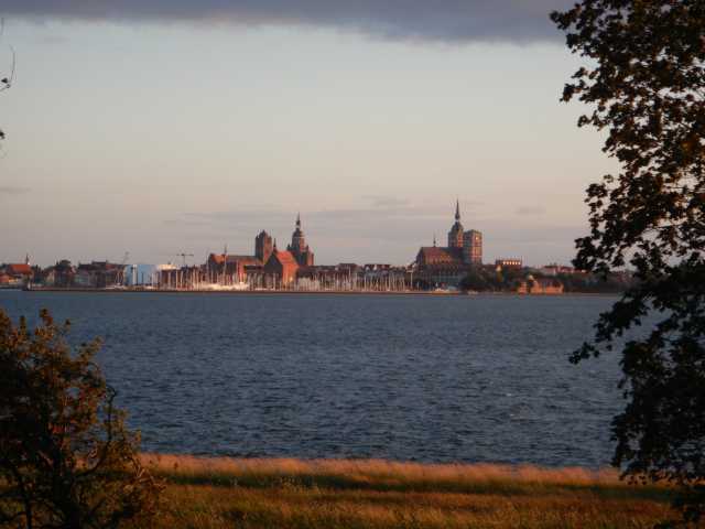 DSCN5481.JPG