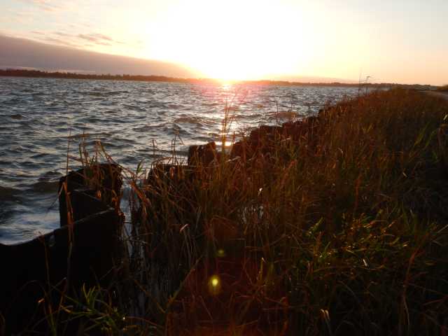 DSCN5486.JPG