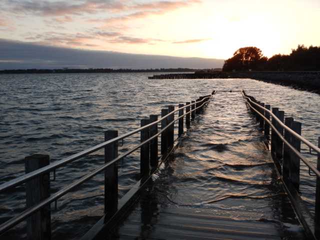DSCN5497.JPG