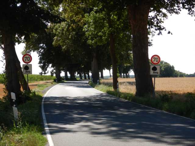 DSCN5520.JPG