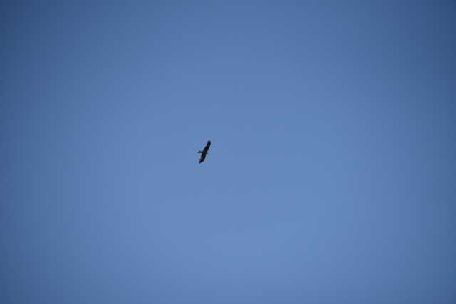 DSC_6324.JPG