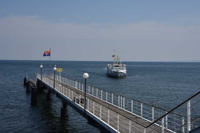 DSC_6334.JPG