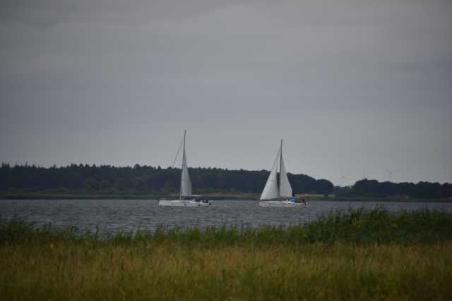 DSC_6409.JPG