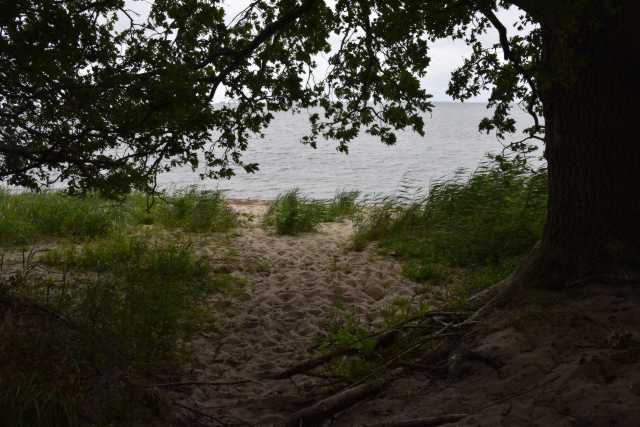 DSC_6419.JPG