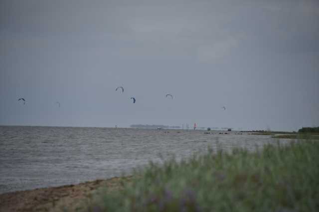 DSC_6423.JPG