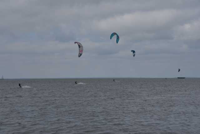 DSC_6470.JPG