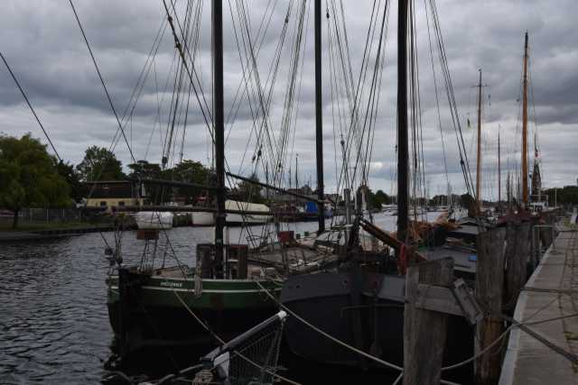 DSC_6486.JPG